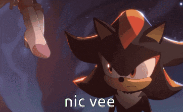shadow the hedgehog and rouge the bat are standing next to each other with the words nic vee above them