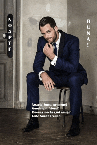 a man in a suit and tie is sitting on a chair with the words noapte buena prietenie written above him