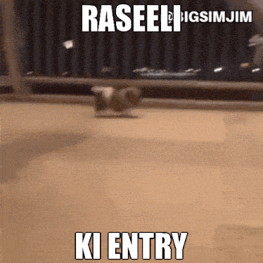 Raseeli Ki Entry GIF - Raseeli Ki Entry Entry Raseeli GIFs