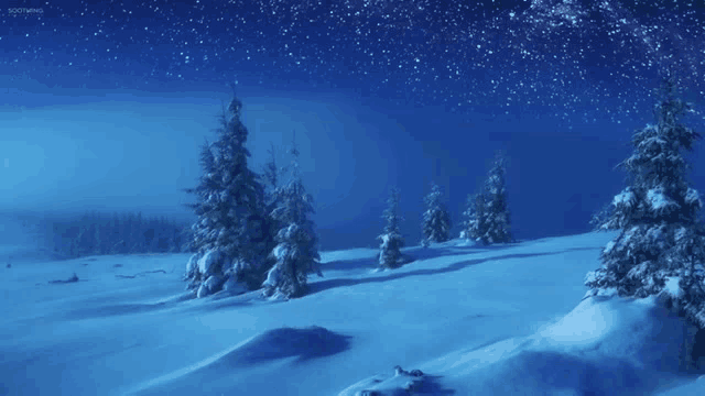a snowy landscape with trees in the foreground and a starry night sky in the background