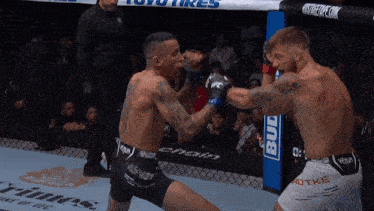 two men are fighting in a boxing ring with a budweiser advertisement behind them