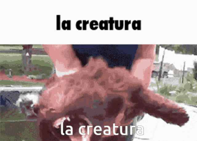 a picture of a person holding a pig with the words la creature la creature
