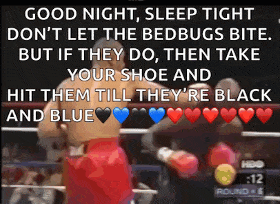 a picture of a boxing match with a caption that says good night sleep tight don 't let the bedbugs bite