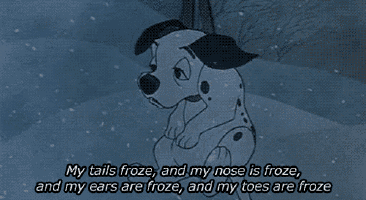 a dalmatian dog is sitting in the snow with the words my tails froze and my nose is froze