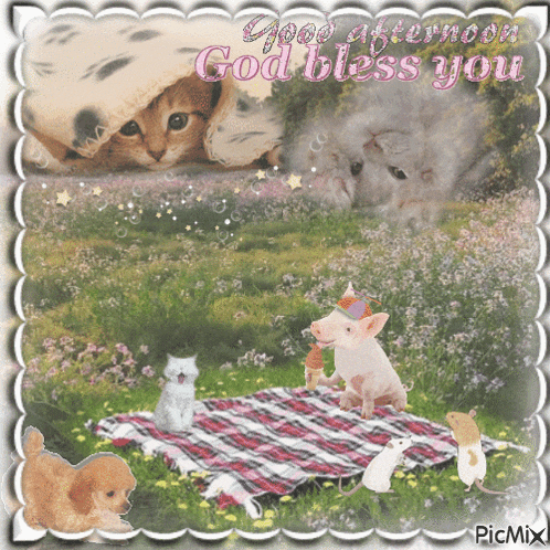 a greeting card that says good afternoon god bless you with animals on a blanket