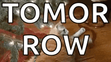 a cat is laying under a christmas tree with the words tomorrow row written above it