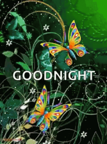 Good Night Butterfly GIF - Good Night Butterfly Flower GIFs