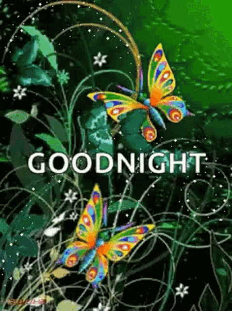 a picture of butterflies with the words goodnight on it