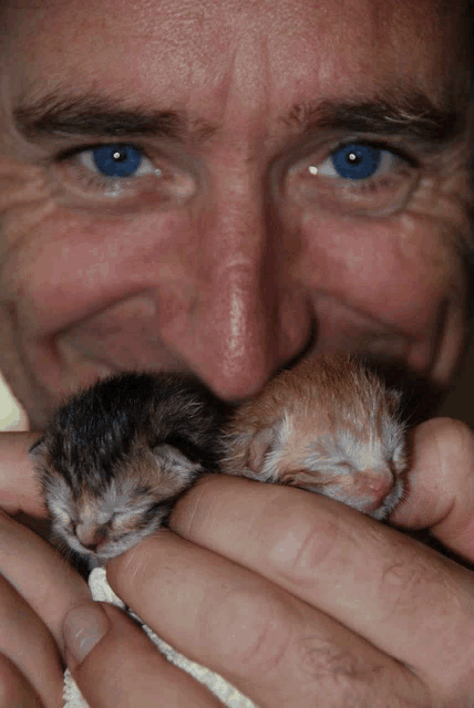 a man with blue eyes is holding two small kittens in his hands