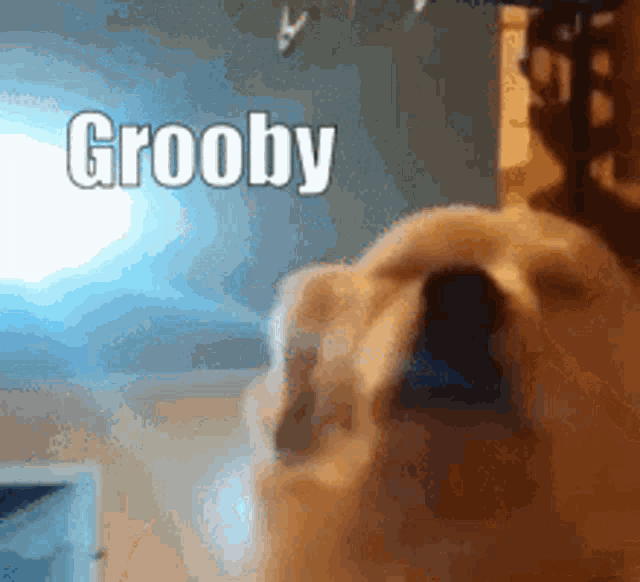 Grooby Grooby Dog GIF - Grooby Grooby Dog Black Honeyt GIFs