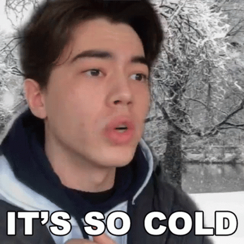 Its So Cold Jan Brummer GIF - Its So Cold Jan Brummer Its Freeze GIFs