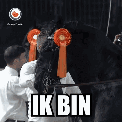 a black horse with two orange ribbons on its head and the word ik bin in white letters