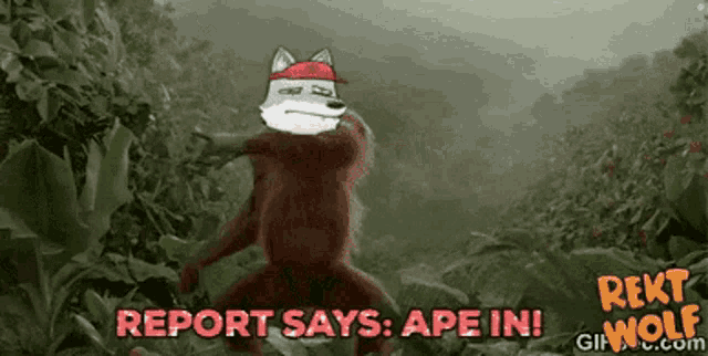 a cartoon of a wolf standing next to a monkey with the words report says ape in