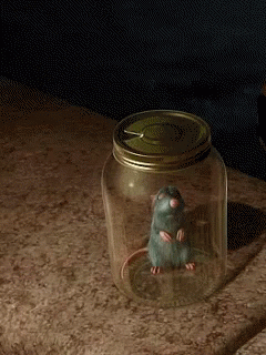 Ratatouille Jar GIF - Ratatouille Jar Stuck GIFs
