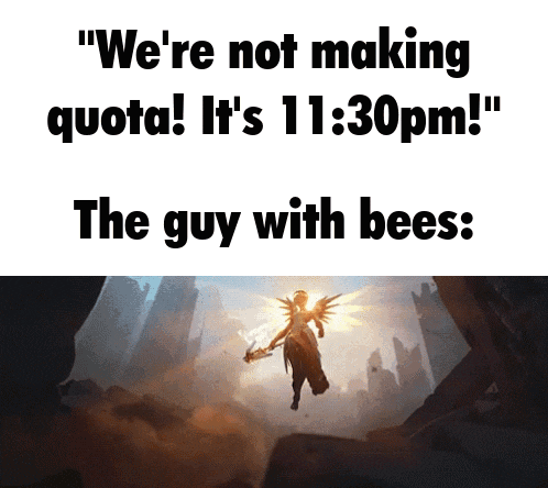 a meme that says we 're not making quota it 's 11:30pm the guy with bees