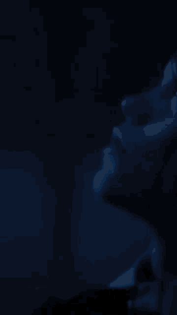 a close up of a person 's face in the dark .