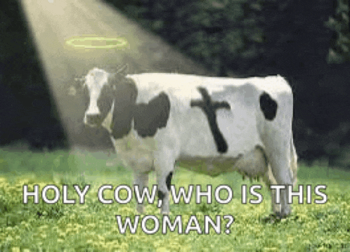 a cow with a cross painted on its back is standing in a field with a halo .