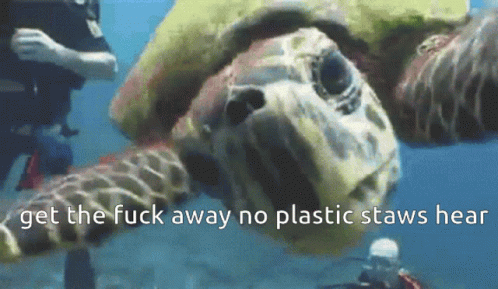 No Plastic Staw Hear Bitch Get The Fuck Away GIF - No Plastic Staw Hear Bitch Get The Fuck Away Turtle GIFs