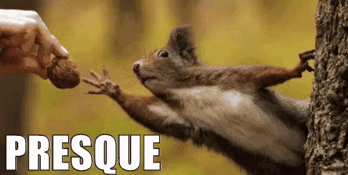 a squirrel is reaching for a nut from a person 's hand with the word presque below it .