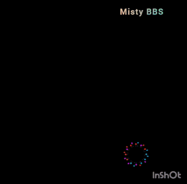 misty bbs logo with a picture of a woman