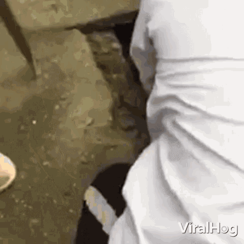 Trapped Puppy Saved From The Sewer Puppy GIF - Trapped Puppy Saved From The Sewer Trapped Puppy Puppy GIFs