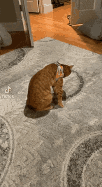 a cat wearing a bow tie is sitting on a rug in a living room