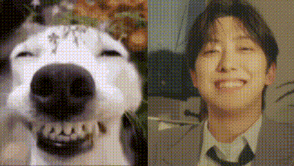 a close up of a dog 's nose and a close up of a man 's face .