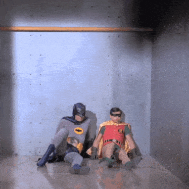 batman and robin are laying on the floor in a room