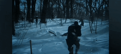 a group of people are walking through the snow in a forest