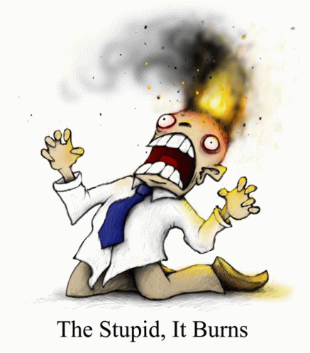 Stupid Burns GIF - Stupid Burns GIFs