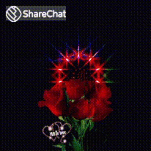 Roses Sparkling GIF - Roses Sparkling Flowers GIFs