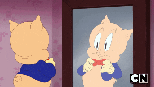a cartoon pig is looking at himself in a mirror with the cn logo