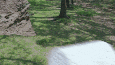 a white object is flying through the air in a field