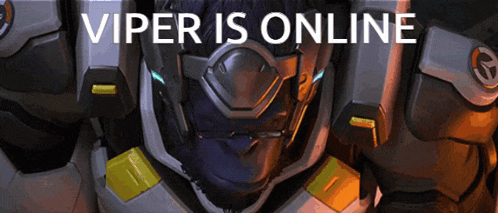 a video game character with the words viper is online on the bottom