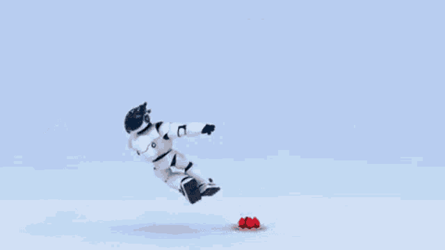 a robot is standing next to a ladybug on a blue background .