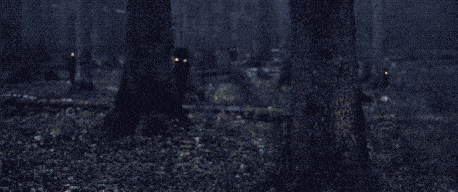 a dark forest with trees and leaves in the ground