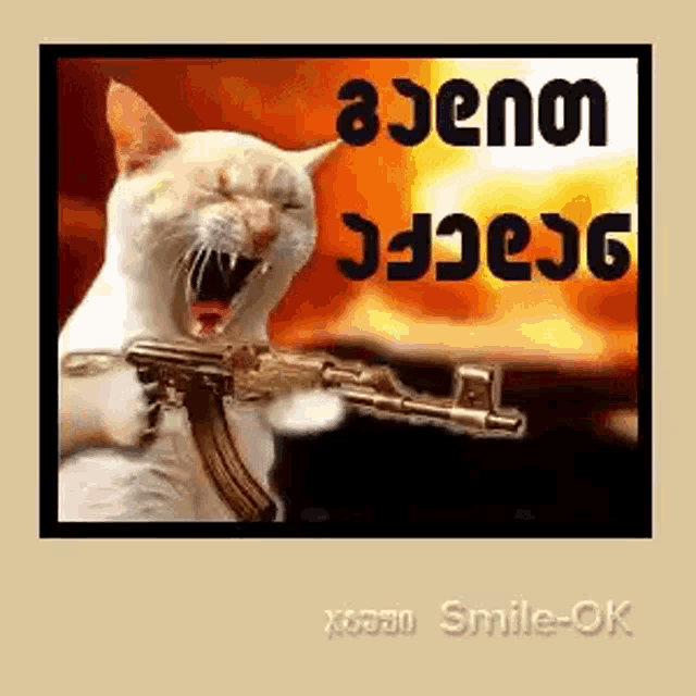 a cat is holding a gun in front of a fire and yelling .