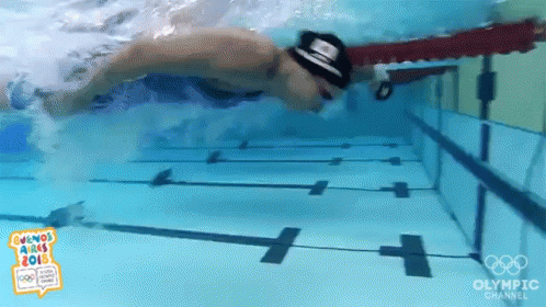 Flip Turn Swim GIF - Flip Turn Swim Swimming GIFs