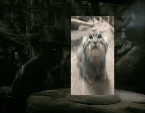 a painting of a cat in a dark room with trees in the background