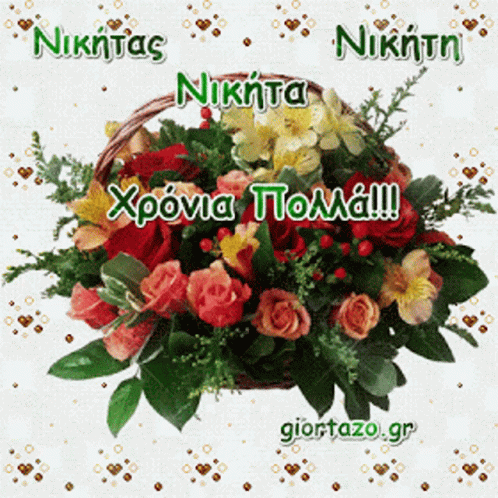 Nikitas Celebration GIF