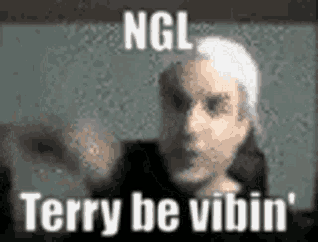 a man with white hair is making a funny face with the words `` terry be vibin '' .