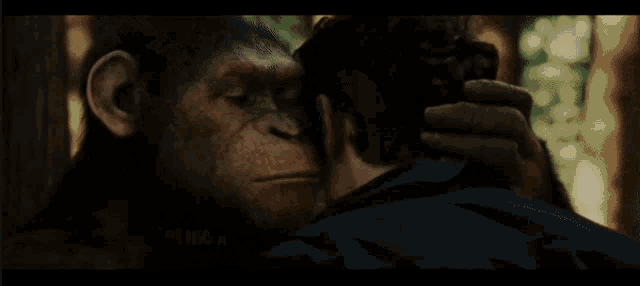 a man and a monkey are looking at each other in a close up