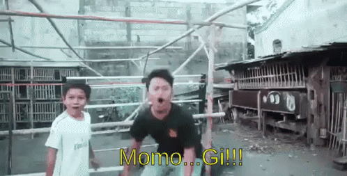 Girang Banget GIF - Momogi Wafer Biskuit GIFs