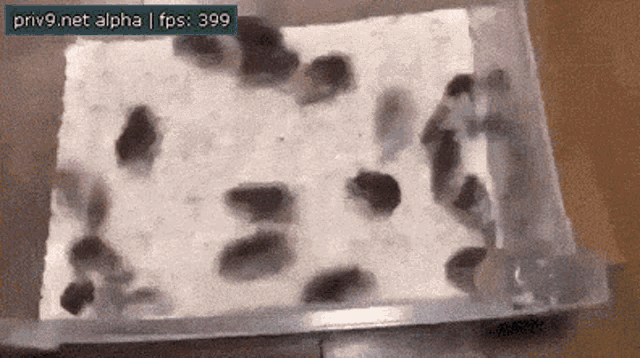 a bunch of mice are crawling on a piece of paper in a container .