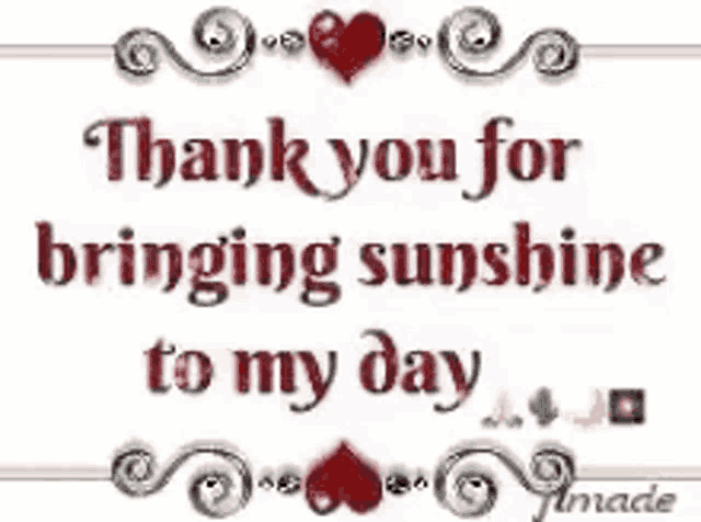 a thank you for bringing sunshine to my day .