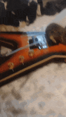 a guitar is laying on a bed with a cat sitting on it
