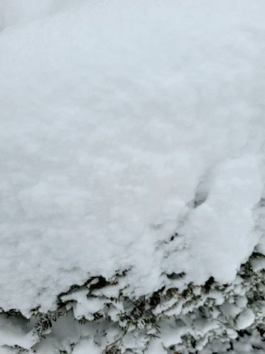 Touch Snow Ghostkiller70849 GIF - Touch Snow Ghostkiller70849 GIFs