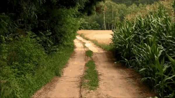 Wuwunio Bodychrist GIF