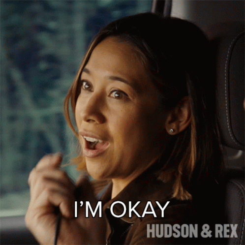 Im Okay Sarah Truong GIF - Im Okay Sarah Truong Hudson And Rex GIFs