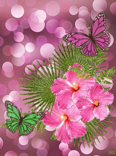 Butterflies Flower GIF - Butterflies Flower Gumamela GIFs